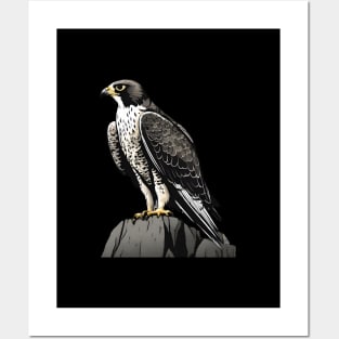 Peregrine Falcon Posters and Art